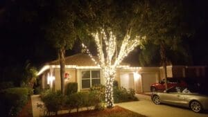 Front yard tree Christmas light wrapping by Christmas Decor in Boynton Beach