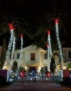 Palm tree and gate Christmas lighting at luxury home by Christmas Decor in Boynton Beac