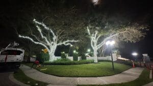 Commercial tree Christmas light installation by Christmas Decor in Boynton Beac