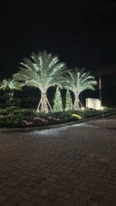 Palm trees and holiday landscape lighting by Christmas Decor in Boynton Beach