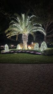 Palm tree and landscape holiday lighting by Christmas Decor in Boynton Beach