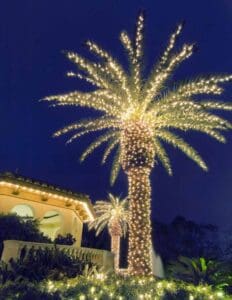 Palm tree wrapped with Christmas lights at a luxury home by Christmas Decor in Boynton Beach