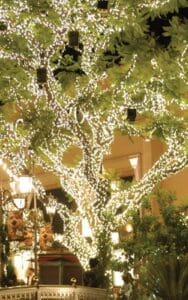 Outdoor tree wrapped in holiday lights by Christmas Decor in Boynton Beach